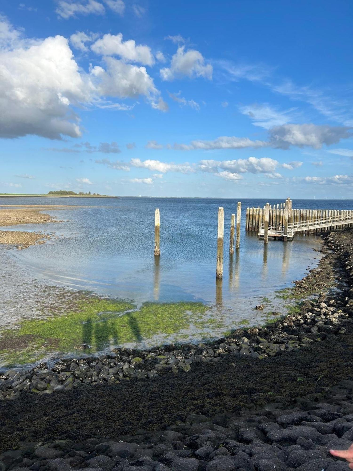 Oosterschelde Lodge Met Veel Privacy En Dicht Bij Het Water Scherpenisse Eksteriør bilde